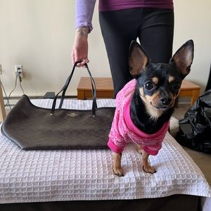 Brown Coach bag (Chihuahua not included 😂)